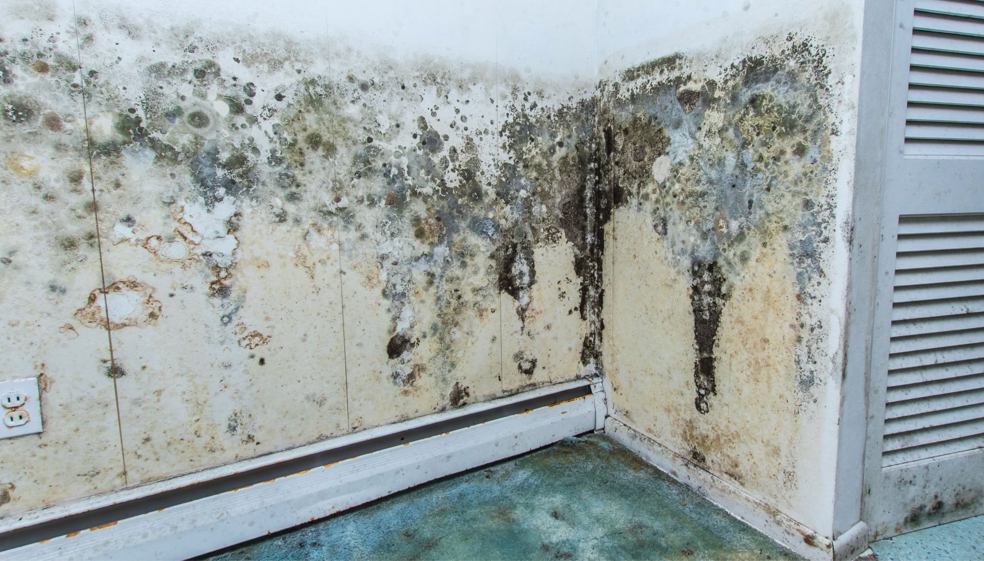 Professional mold removal, odor control, and water damage restoration service in Marietta, Georgia.