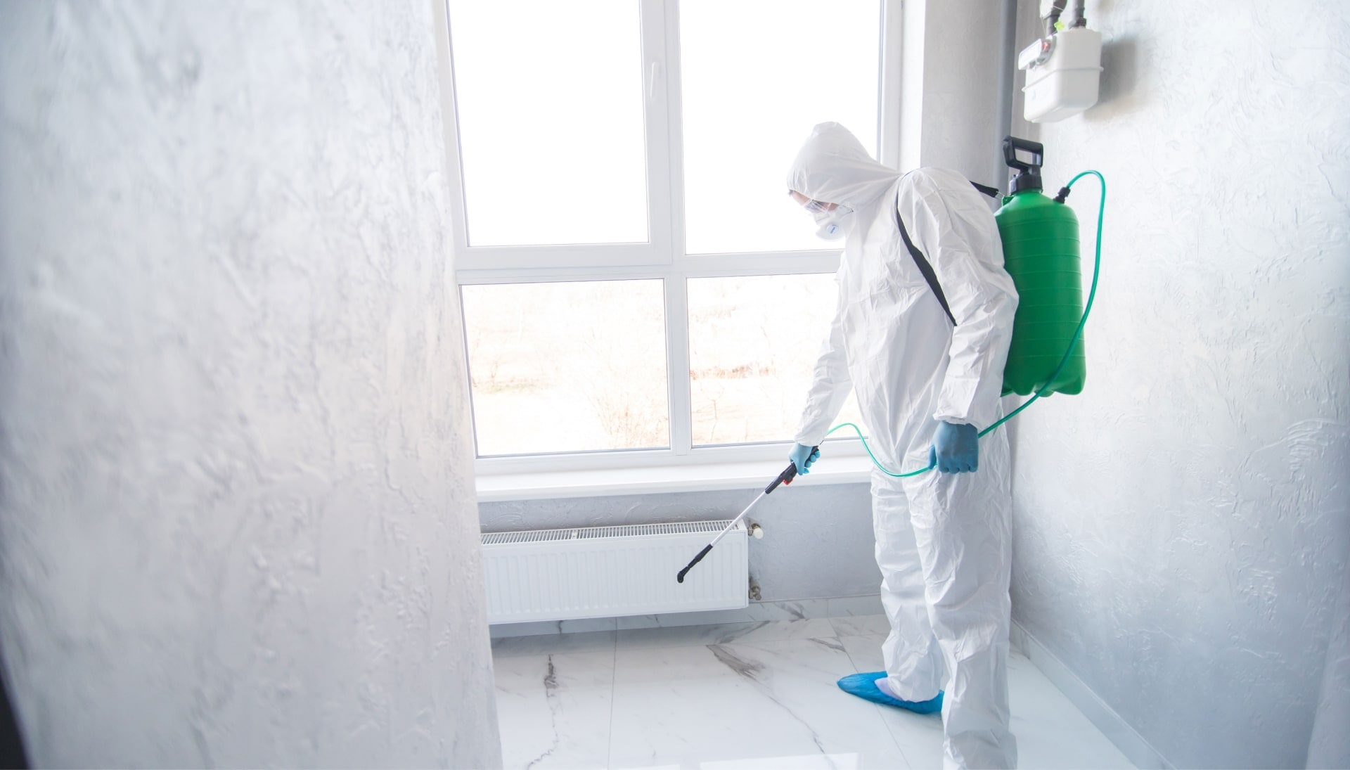 We provide the highest-quality mold inspection, testing, and removal services in the Marietta, Georgia area.